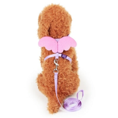 Angel Wing Pet Harness Small Pet Dog Rabbit Cat Chest Set Cute Collar Safety Belt Adjustable Outdoor Walking Leash Rope 6 Color